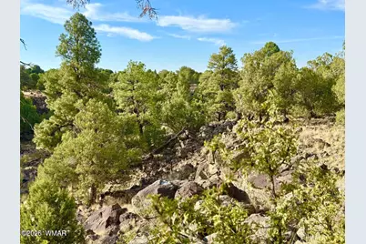 1838 Rocky Bottom Place, Show Low, AZ 85901 - Photo 19