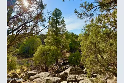 1838 Rocky Bottom Place, Show Low, AZ 85901 - Photo 9