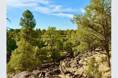 1838 Rocky Bottom Place, Show Low, AZ 85901 - Photo 9