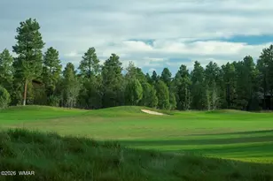 3321 W Mariposa Ln, Show Low, AZ 85901 - Photo 9