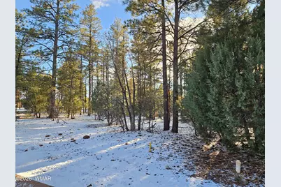3321 W Mariposa Lane, Show Low, AZ 85901 - Photo 3