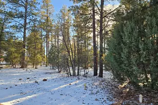 3321 W Mariposa Ln, Show Low, AZ 85901 - Photo 3