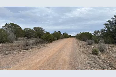 54473 N Shadow Mountain Parkway, Seligman, AZ 86337 - Photo 3