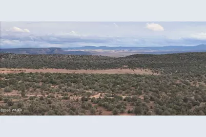 54473 N Shadow Mountain Parkway, Seligman, AZ 86337 - Photo 9