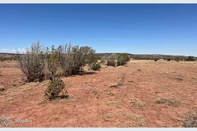 000 Paso Drive, Snowflake, AZ 85937 - Photo 3