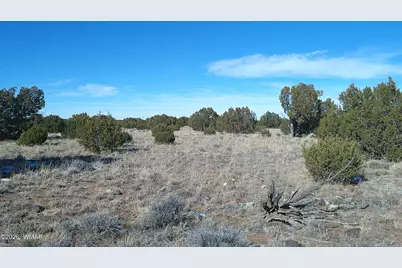 Tbd Windsor Valley Ranch Lot 108, Concho, AZ 85924 - Photo 19