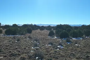 Tbd Windsor Valley Ranch Lot 108, Concho, AZ 85924 - Photo 1