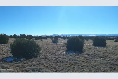 Tbd Windsor Valley Ranch Lot 108, Concho, AZ 85924 - Photo 25