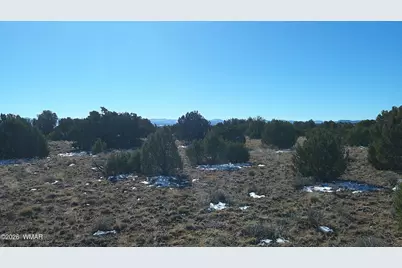 Tbd Windsor Valley Ranch Lot 108, Concho, AZ 85924 - Photo 23