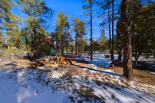 2074 Lone Mountain Rd, Overgaard, AZ 85933 - Photo 1