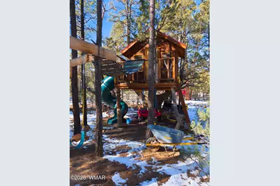 2074 Lone Mountain Road, Overgaard, AZ 85933 - Photo 3