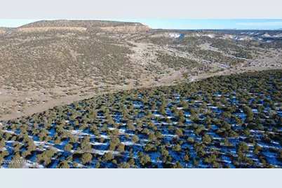 Tbd Concho 40Ac, Concho, AZ 85924 - Photo 13