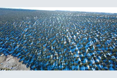 Tbd Concho 40Ac, Concho, AZ 85924 - Photo 9