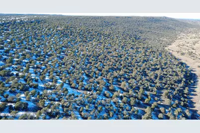 Tbd Concho 40Ac, Concho, AZ 85924 - Photo 3