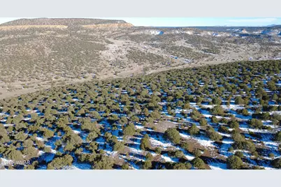 Tbd Concho 40Ac, Concho, AZ 85924 - Photo 17