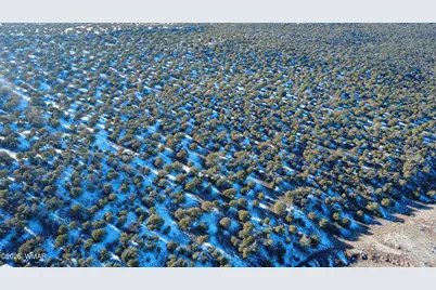 Tbd Concho 40Ac, Concho, AZ 85924 - Photo 5