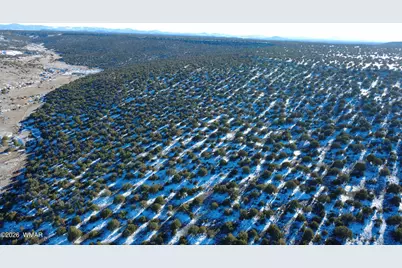 Tbd Concho 40Ac, Concho, AZ 85924 - Photo 11