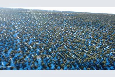 Tbd Concho 40Ac, Concho, AZ 85924 - Photo 7