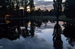 2358 E Rainbow Ln, Pinetop, AZ 85935 - Photo 47