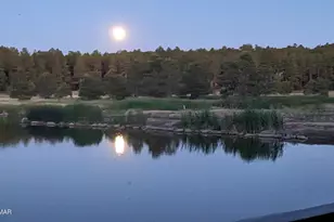 2358 E Rainbow Ln, Pinetop, AZ 85935 - Photo 49