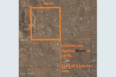 8358 Terry Trail, Snowflake, AZ 85937 - Photo 11