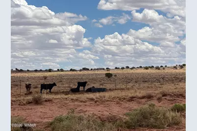8400 N Terry Trail, Snowflake, AZ 85937 - Photo 5