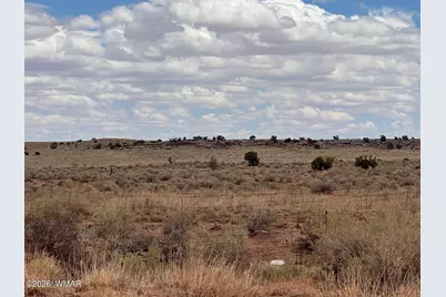 8400 N Terry Trail, Snowflake, AZ 85937 - Photo 9