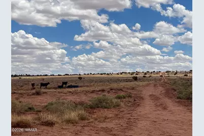 8400 N Terry Trail, Snowflake, AZ 85937 - Photo 3