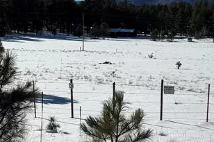 179 Co Rd 2266, Alpine, AZ 85920 - Photo 1