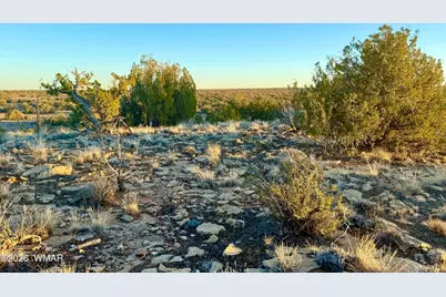 5913 Dark Canyon Drive, Heber, AZ 85928 - Photo 13