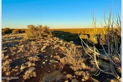 5913 Dark Canyon Drive, Heber, AZ 85928 - Photo 11