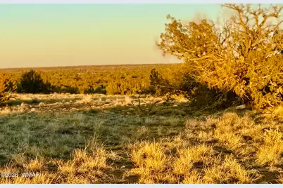 5913 Dark Canyon Drive, Heber, AZ 85928 - Photo 17