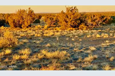 5913 Dark Canyon Drive, Heber, AZ 85928 - Photo 7