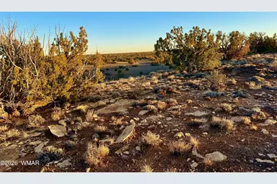 5913 Dark Canyon Drive, Heber, AZ 85928 - Photo 9