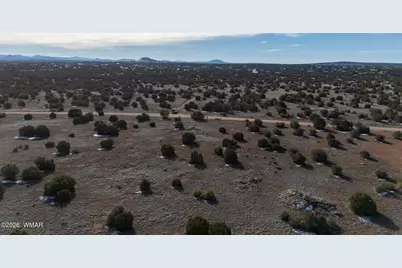 8524 Airport Drive, Show Low, AZ 85901 - Photo 7