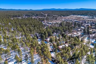 1460 S Adair Dr, Pinetop, AZ 85935 - Photo 23