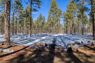1460 S Adair Dr, Pinetop, AZ 85935 - Photo 17
