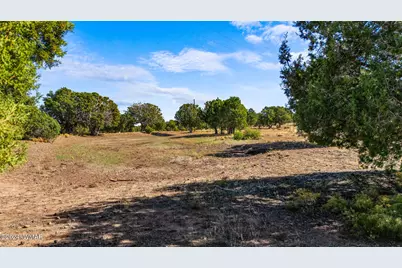 Tbd Old Homestead Road, Show Low, AZ 85901 - Photo 13