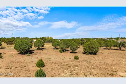 Tbd Old Homestead Road, Show Low, AZ 85901 - Photo 7
