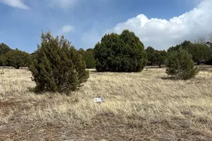 780 S Rockcreek Dr, Show Low, AZ 85901 - Photo 11