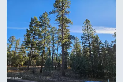 2500 S Pinegrass Road, Show Low, AZ 85901 - Photo 1
