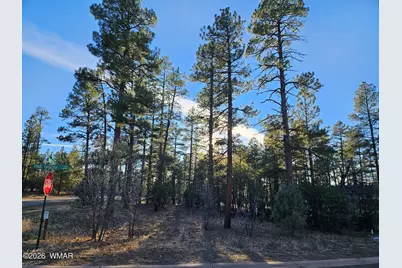 2500 S Pinegrass Road, Show Low, AZ 85901 - Photo 7