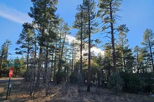 2500 S Pinegrass Rd, Show Low, AZ 85901 - Photo 7