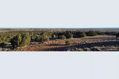 Tbd Arena Estates, Taylor, AZ 85939 - Photo 3