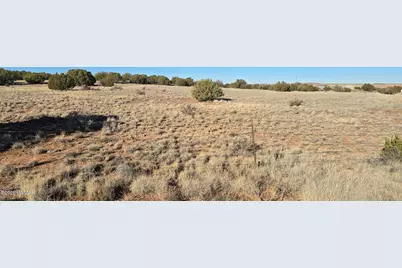 Tbd Arena Estates, Taylor, AZ 85939 - Photo 9