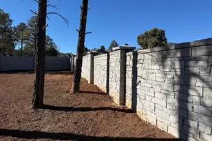 241 W White Fir Dr, Show Low, AZ 85901 - Photo 9