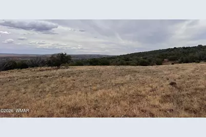 Lot 8 N8526, Concho, AZ 85924 - Photo 11