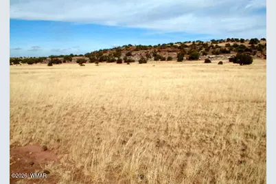 Lot 8 N8526, Concho, AZ 85924 - Photo 3