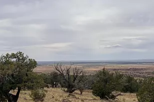 Lot 8 N8526, Concho, AZ 85924 - Photo 1