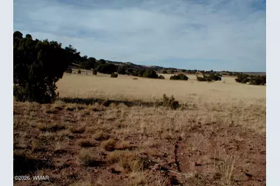 Lot 8 N8526, Concho, AZ 85924 - Photo 15